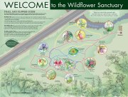 NEW3.0_TrailMap_DTrack_WildflowerSantc_Embedded