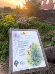 13 Botanical