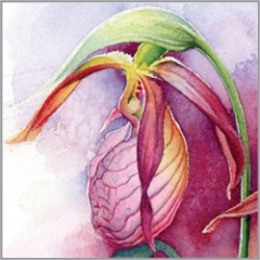 Botanical-Button