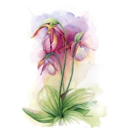 Botanical1