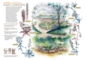 Botanical9