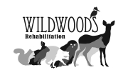 WildWoodsLogo3.2