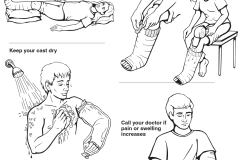 25LineArt