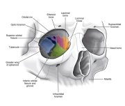 Medical2