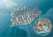 FilterMembraneNanoRodsLightWater