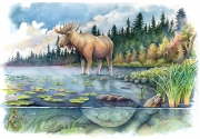 Lake Monsters