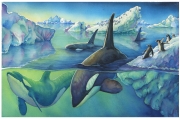 Orcas and Penguins