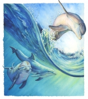 Bottlenose Dolphins